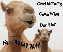 Image result for Hump Day Funny Facebook Quotes