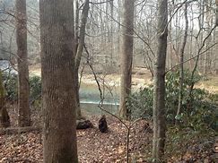 Image result for Davidson River Campground NC Perminant Sites Map