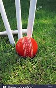 Image result for Cricket Ball and Stumps