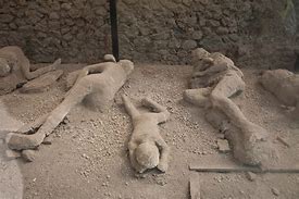 Image result for Pompeii Exposed