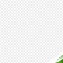 Image result for Black and Green PNG