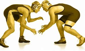 Image result for Wrestling Symbol