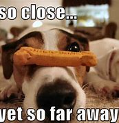 Image result for So Close Funny Meme