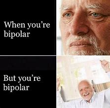 Image result for Bipolar Memes Funny