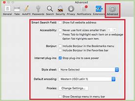 Image result for Safari Settings Menu iPad