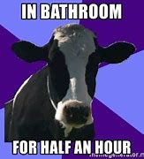 Image result for Deflated Cow Meme