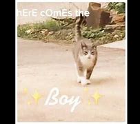 Image result for Here Comes the Boy Meme