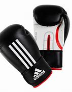 Image result for Everlast Boxing Gloves