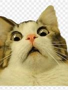 Image result for Surprised Rage Face Meme