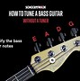 Image result for Tune Bass Guitar