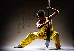 Image result for Wushu Poses