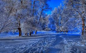 Image result for Extreme Winter Storm