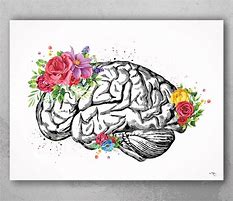 Image result for Floral Brain Watercolor