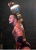 Image result for WWF Championship