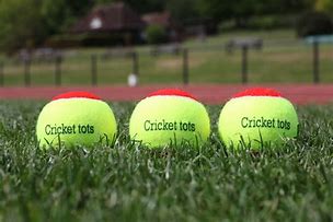 Image result for Kids Cricket Balls