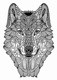Image result for Wild Animals Coloring Book