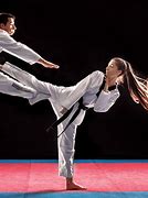 Image result for Martial Arts Taekwondo Kick