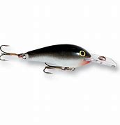 Image result for Rapala Fat Rap FR 5