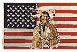 Image result for The Native American Navajo Flag