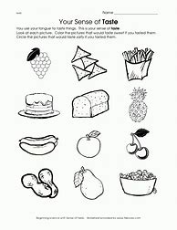 Image result for Coloring Activity for Sense of Taste