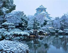 Image result for Osaka Castle in Winter