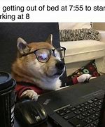 Image result for Dog Working Meme