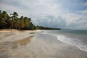 Image result for Tropicalia Republica Dominicana