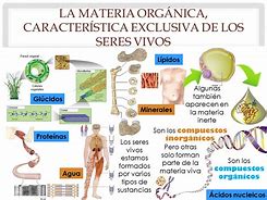 Image result for Caracteristicas De Los Seres Vivos Biologia