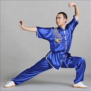 Image result for Wushu Style
