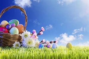 Image result for Tree Basket for Background