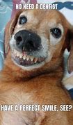 Image result for Brown Dog Smile Meme