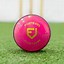 Image result for Cricket Ball to Play On Tiles