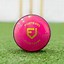 Image result for Cricket Products