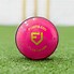 Image result for cricket ball brands