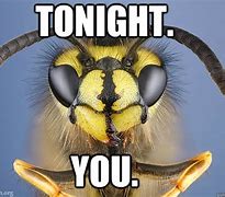 Image result for Wasp Sting Meme