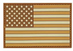 Image result for Desert Tan American Flag iPhone