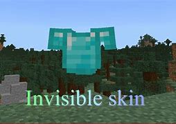 Image result for Invis Minecraft Skin