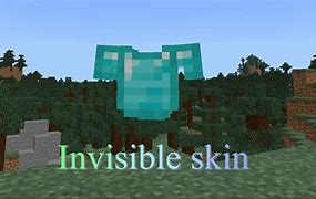 Image result for Free Invisible Minecraft Skin