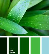 Image result for Pure Cyan