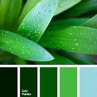 Image result for Aqua Cyan Green/Orange