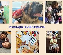 Image result for co_to_za_zoopsycholog