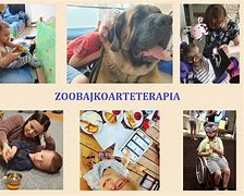 Image result for co_to_za_zooterapia