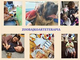 Image result for co_to_znaczy_zooterapia
