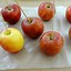 Image result for Chocolate Caramel Candy Apples