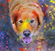 Image result for Puppy Galaxy Wallpaper