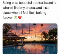 Image result for Tropical Island Meme