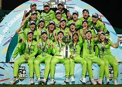 Image result for Lwcbbmd10 Cricket