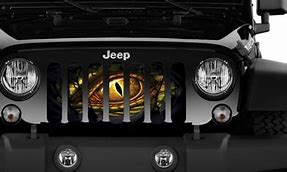 Image result for Dragon Grill Cover for Jeep