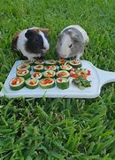 Image result for Guinea Pig Phone Coushin