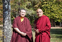 Karmapa 的图像结果